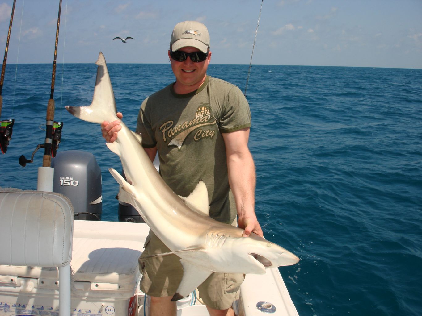 Charter Fishing Naples FL, Shelling, Sightseeing | Captain Jimbo Hail